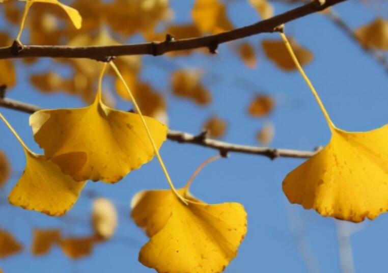 岁月流逝的唯美句子文案