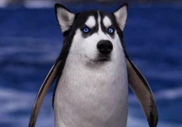 哄女朋友开心的笑话