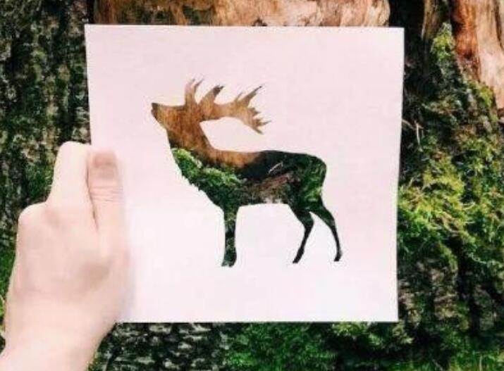 最能打动女生的一句话