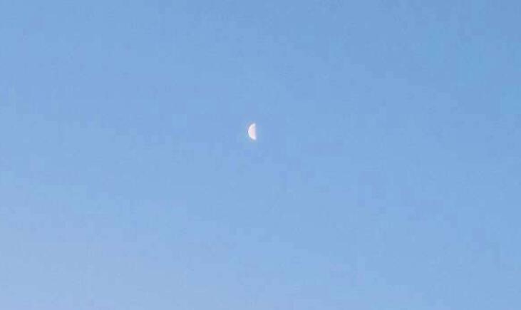 对婆家失望心寒的句子文案发朋友圈