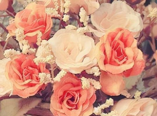 早上幽默的问候语