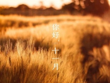 十一月的优美句子文案
