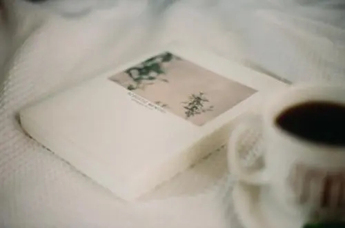 森系小清新文艺句子文案