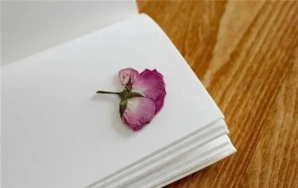 辛苦不怕累励志的句子文案