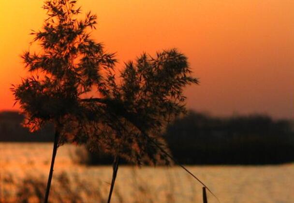 摘抄写景的句子文案