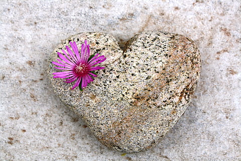 一句话让女友感动到哭