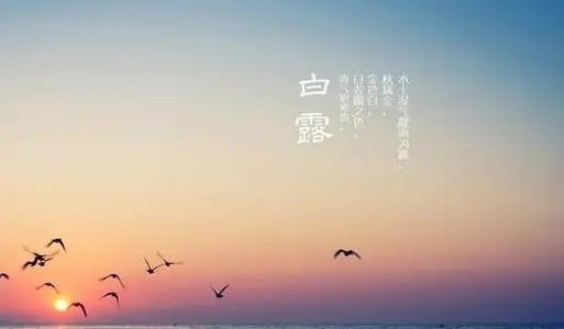 与白露有关的诗古诗