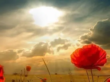 学生励志美文摘抄短篇