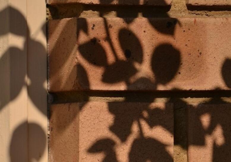 再苦再累自己扛的句子文案