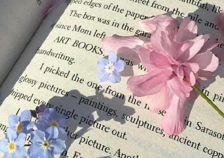 爱情就像花儿一样短语