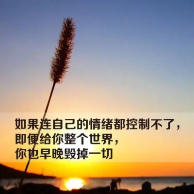 迷人的语句文案