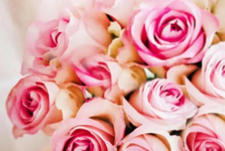 感谢一个人的说说文案