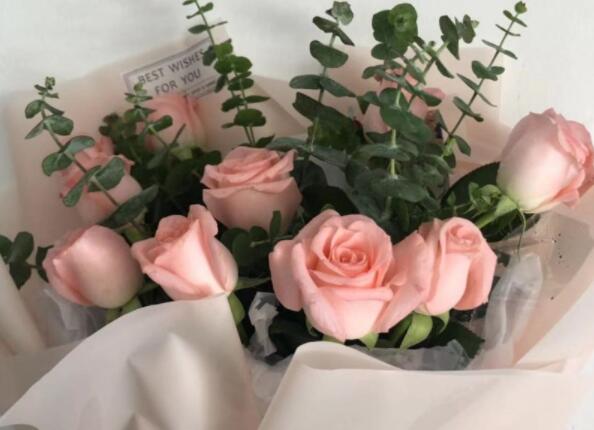 妇女节的句子文案