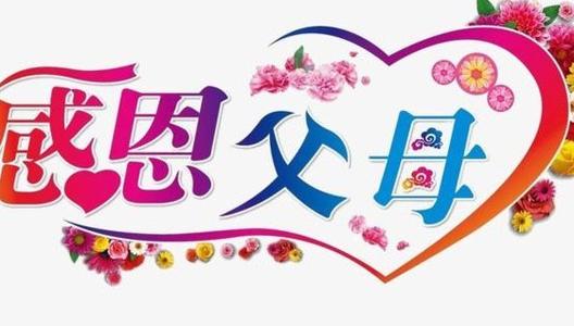 对爸妈感恩的经典句子文案