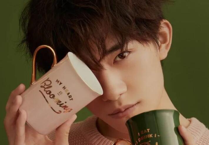 形容少年干净美好的文案