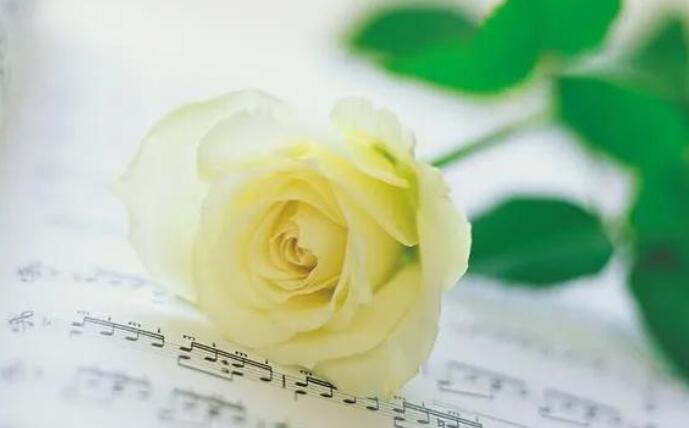 如何写出惊艳的句子文案