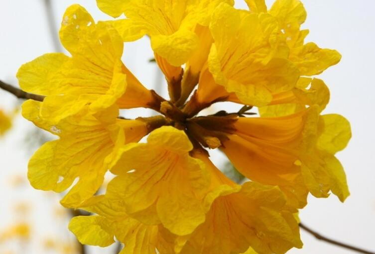 关于星期一的早安心语