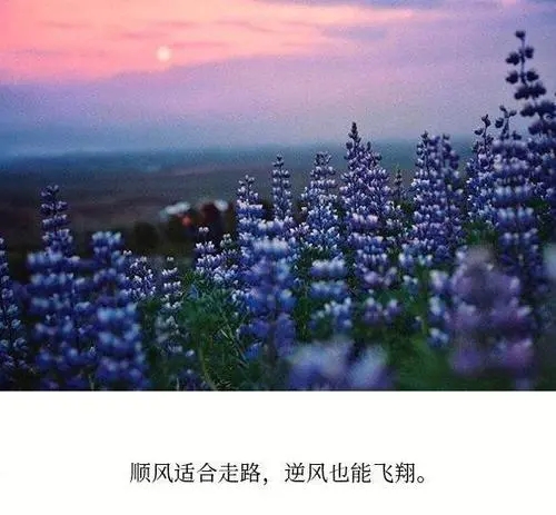 五月的句子文案短句唯美