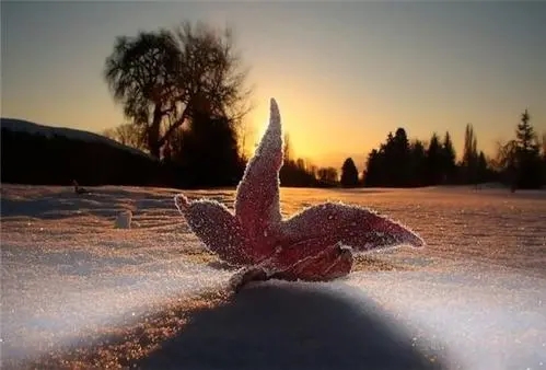 岁月洗礼唯美句子文案