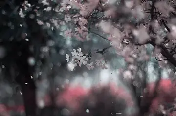 民国时期优美的句子文案