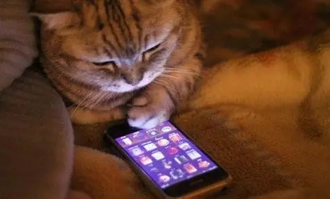 上班无聊发自拍照说说文案