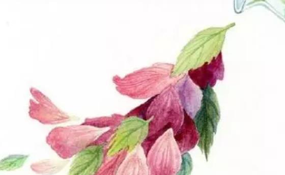 很有意义的英文文案短句