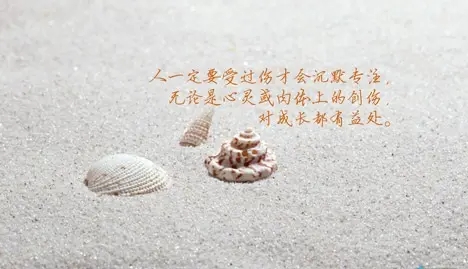 渴望有个懂自己的人经典语录文案