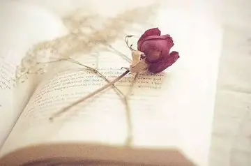 人生大实话的话语