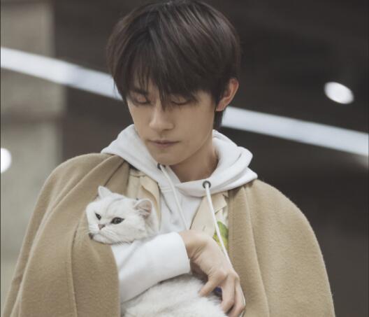 形容少年初长成的诗句文案