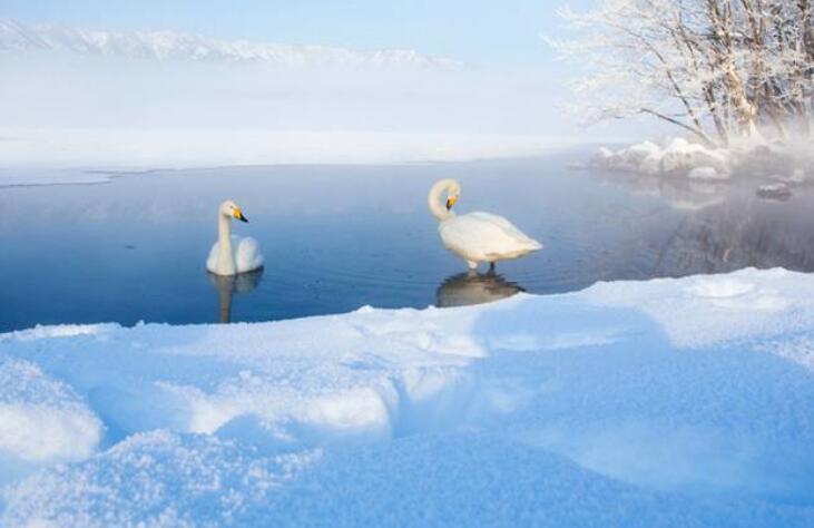 从夏天一下到冬天说说文案