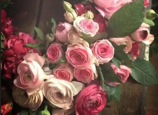 花开美好寓意的句子文案