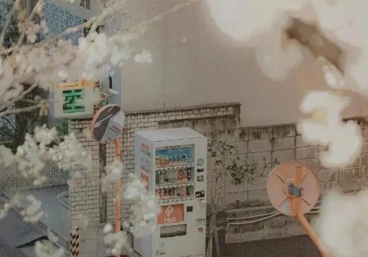 守护陪伴的句子文案