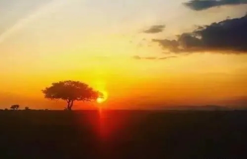 朋友天各一方的伤感句子文案