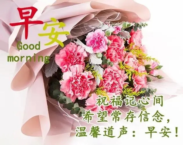 早上好二十句短信祝福语