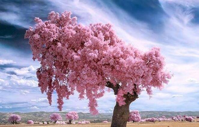 关于爱情的精辟句子文案