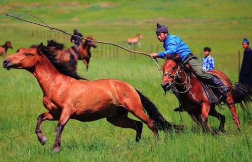 形容在内蒙古骑马的句子文案