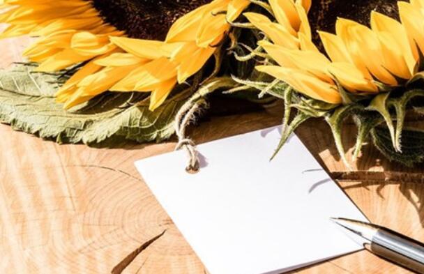 老人的早安祝福短信