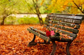 秋天的心情句子文案短句唯美