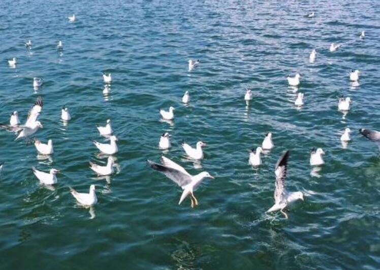 离别痛苦的句子文案说说心情