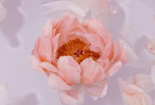 胖女孩发朋友圈霸气