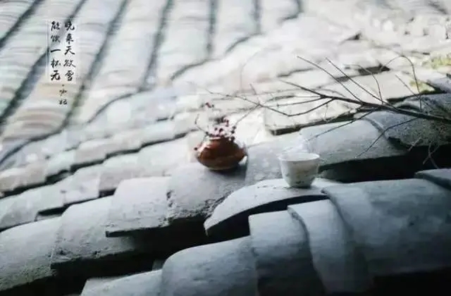 品味人生的经典句子文案