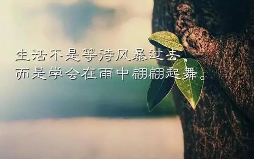 高情商经典语录文案摘抄