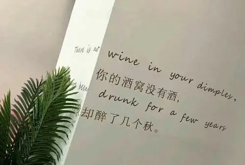 高冷霸气朋友圈文案