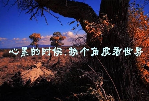 人间充满爱的句子文案