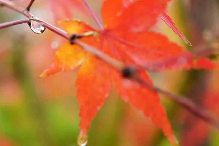 别高估自己的经典句子文案