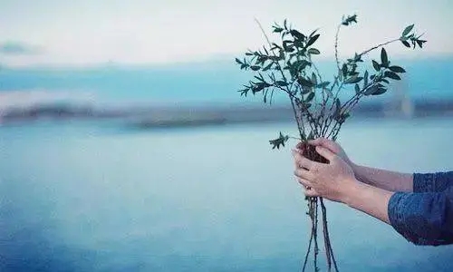 形容女人苦与累的名言