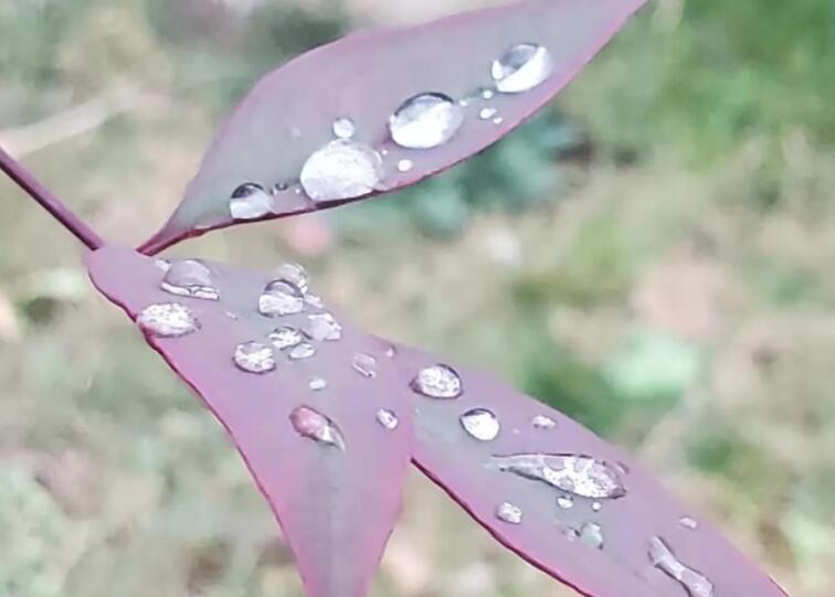 描写触景生情的好句文案