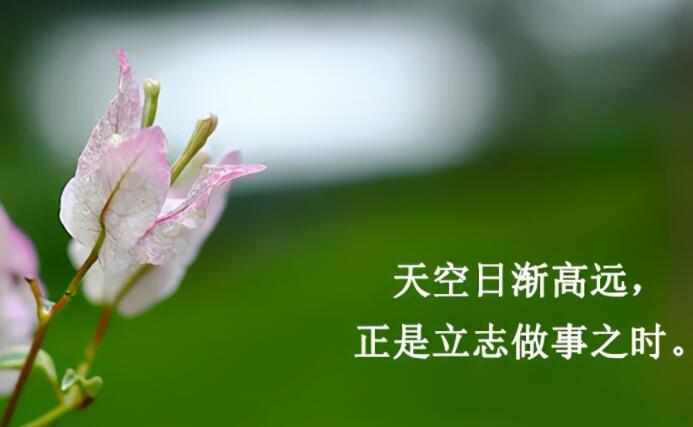 女人最美早安心语图片