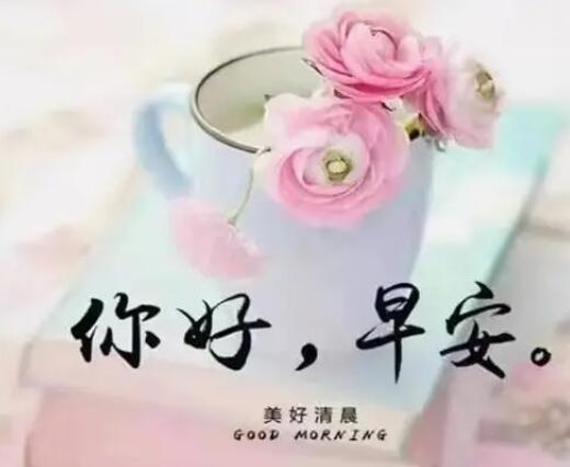 早上甜言蜜语的情话文案