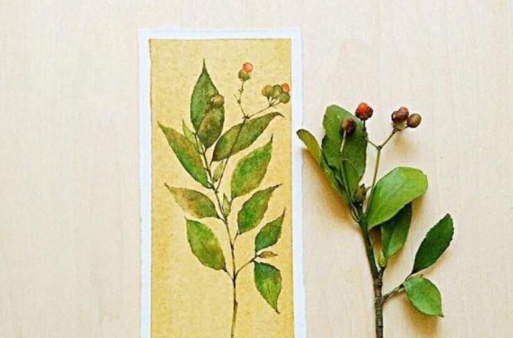 简短的人生感悟名句文案